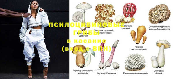 a pvp Абинск